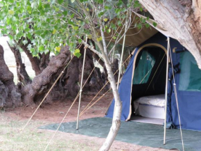 Karoo Gariep Tented Camp